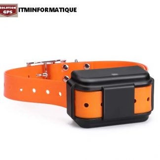 Traqueur GPS pour animaux