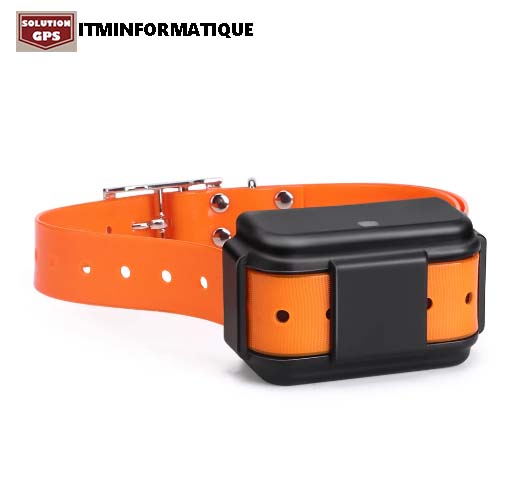 Traqueur GPS pour animaux